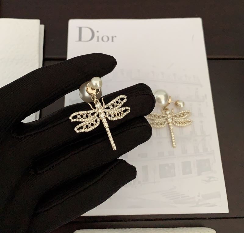 Christian Dior Earrings